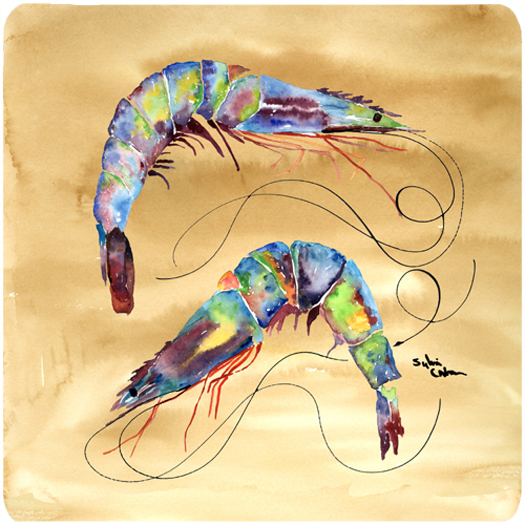 Picture of Carolines Treasures 8158FC Shrimp Foam Coasters - Set 4
