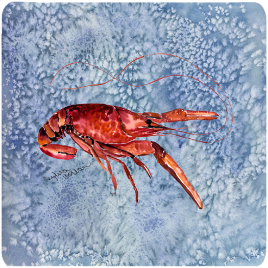 Picture of Carolines Treasures 8231FC Crawfish Foam Coasters - Set 4