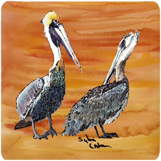 Picture of Carolines Treasures 8407FC Bird - Pelican Foam Coasters - Set 4