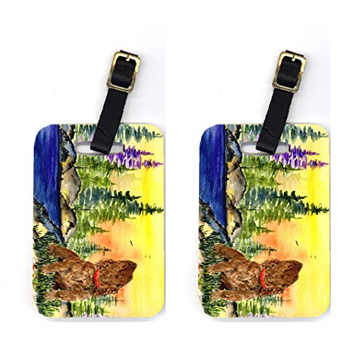 American Water Spaniel Luggage Tag - 4 x 2.75 In.