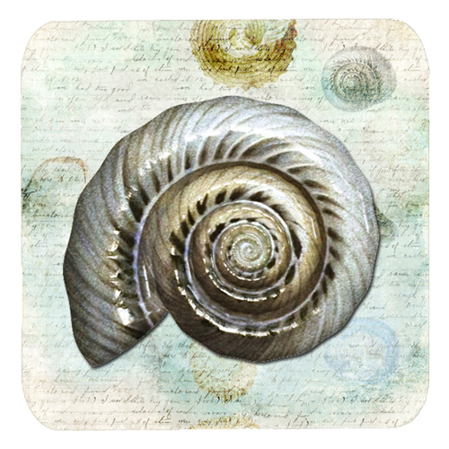 Shells Foam Coasters - Set Of 4