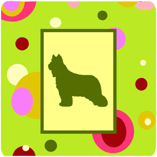Briard Foam Coasters - Set Of 4