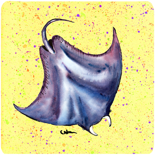 Picture of Carolines Treasures 8531FC Stingray Foam Coasters - Set Of 4