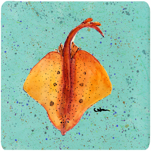 Picture of Carolines Treasures 8532FC Stingray Foam Coasters - Set Of 4