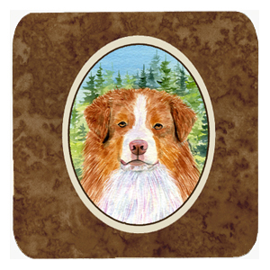 SS8317FC Australian Shepherd Foam Coasters - Set Of 4