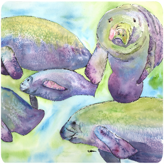 Picture of Carolines Treasures 8544FC Manatee Foam Coasters - Set Of 4- 3.5 x 3.5 In.