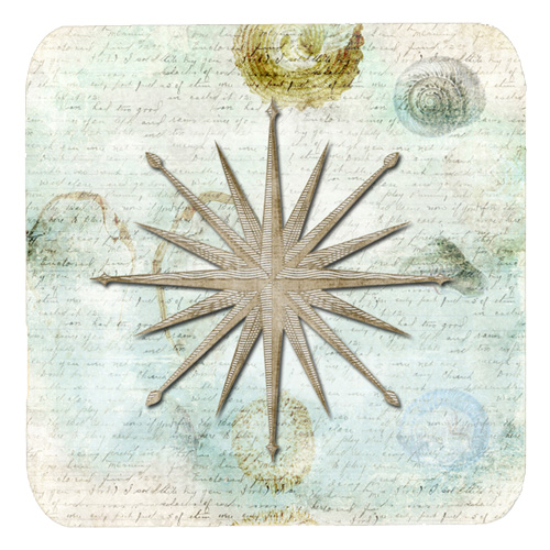 Shells Navagation Star Foam Coasters - Set Of 4, 3.5 x 3.5 In.