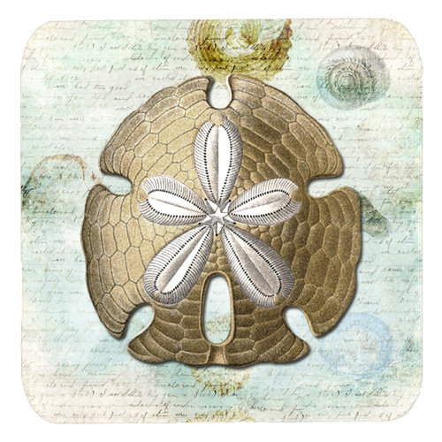 Sand Dollar Foam Coasters - Set Of 4, 3.5 x 3.5 In.