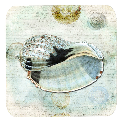 Shells Foam Coasters - Set Of 4, 3.5 x 3.5 In.