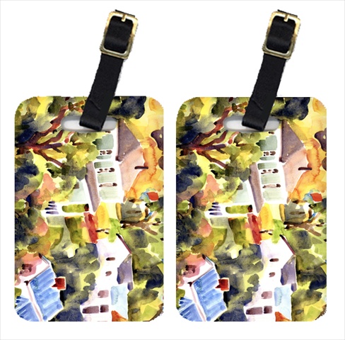 Picture of Carolines Treasures 6046BT Houses Luggage Tag - Pair 2&#44; 4 x 2.75 In.