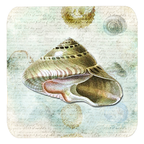 Shells Foam Coasters - Set Of 4, 3.5 x 3.5 In.