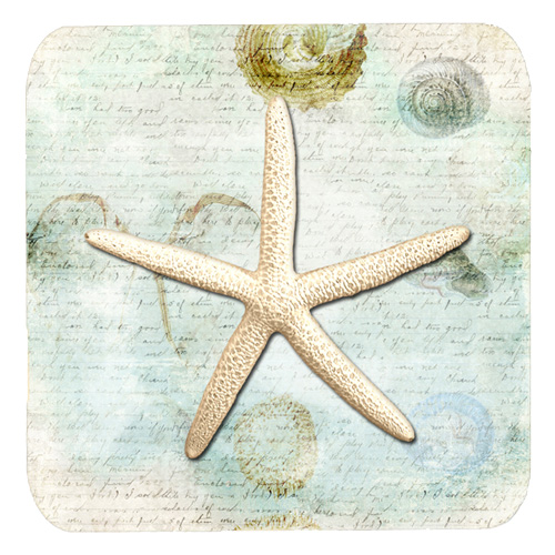 Starfish Foam Coasters - Set Of 4, 3.5 x 3.5 In.