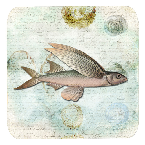 Picture of Carolines Treasures SB3042FC Fish Foam Coasters - Set Of 4- 3.5 x 3.5 In.