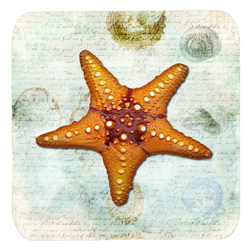 Starfish Foam Coasters - Set Of 4, 3.5 x 3.5 In.