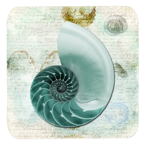 Shells Foam Coasters - Set Of 4- 3.5 x 3.5 In.