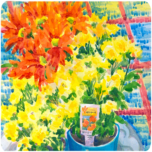 Picture of Carolines Treasures 6005FC Flower - Mums Foam Coasters - Set Of 4- 3.5 x 3.5 In.