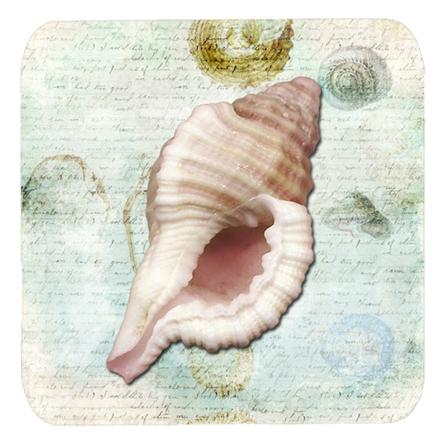Shells Foam Coasters - Set Of 4, 3.5 x 3.5 In.