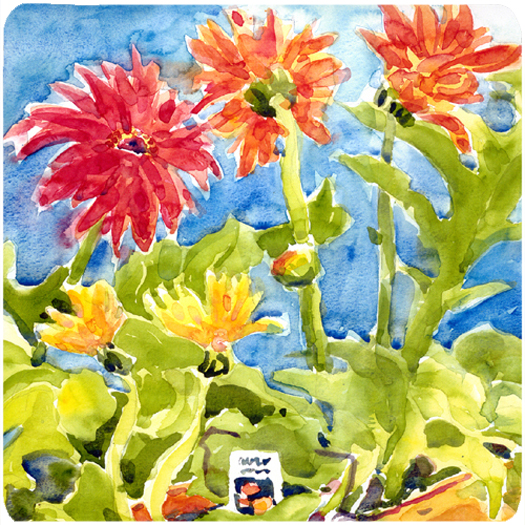 Picture of Carolines Treasures 6038FC Flower - Gerber Daisies Foam Coasters - Set Of 4- 3.5 x 3.5 In.