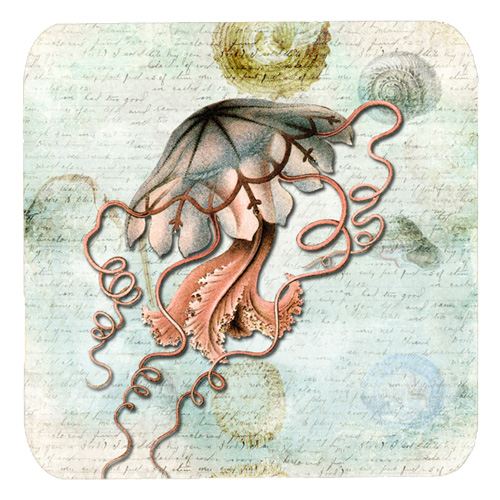 Jellyfish Foam Coasters - Set Of 4, 3.5 x 3.5 In.