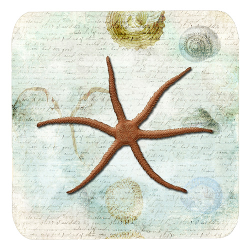 Starfish Foam Coasters - Set Of 4, 3.5 x 3.5 In.