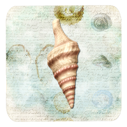 Shells Foam Coasters - Set Of 4, 3.5 x 3.5 In.