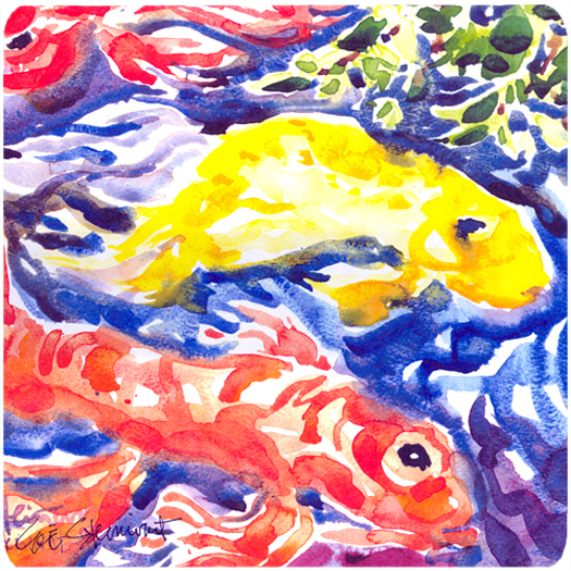 Picture of Carolines Treasures 6116FC Fish - Koi In The Pond Foam Coasters - Set Of 4- 3.5 x 3.5 In.