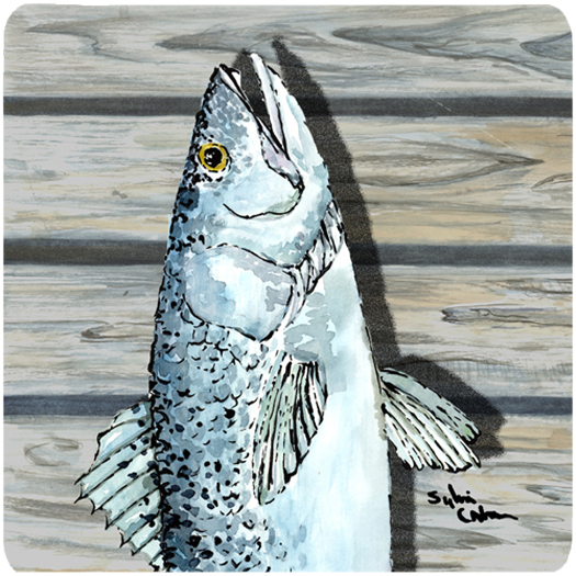 Trout Foam Coasters - Set Of 4, 3.5 x 3.5 In.