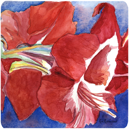 Flower - Amaryllis Foam Coasters - Set Of 4, 3.5 x 3.5 In.