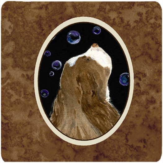 Springer Spaniel Foam Coasters, Set Of 4