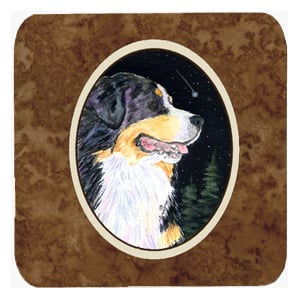 Starry Night Bernese Mountain Dog Foam Coasters, Set Of 4