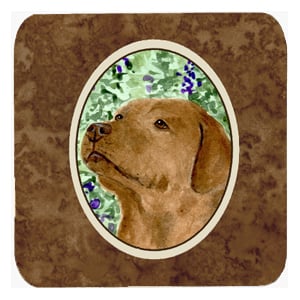 SS8743FC Labrador Foam Coasters- Set - 4