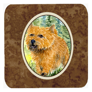 SS8878FC Norwich Terrier Foam Coasters- Set - 4