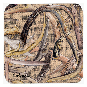 Deer Horns Foam Coasters, Set Of 4