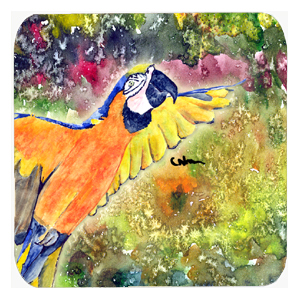Parrot Foam Coasters, Set Of 4