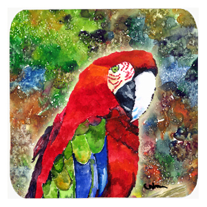 Parrot Foam Coasters- Set Of 4