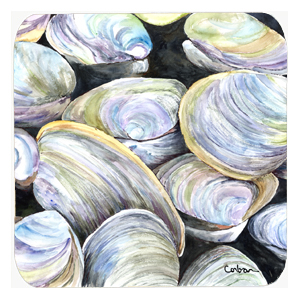 Clam Quahog Foam Coasters, Set Of 4
