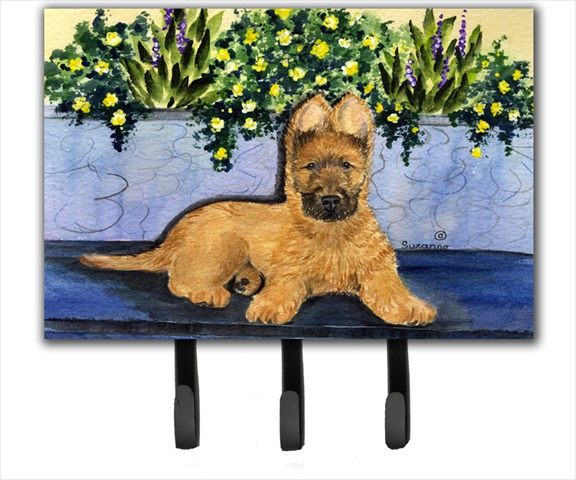 Carolines Treasures SS8180TH68 Briard Leash Holder Or Key Hook
