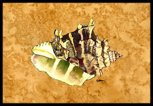 Sea Shell Indoor Or Outdoor Mat