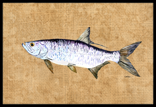 24 x 36 In. Tarpon Indoor or Outdoor Mat