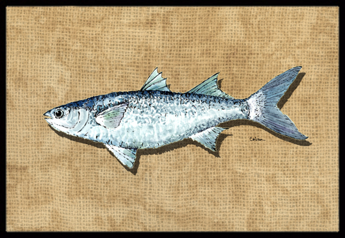 Mullet Indoor or Outdoor Mat