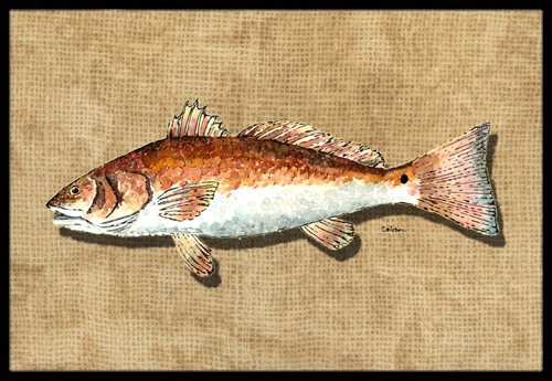 24 x 36 In. Red Fish Indoor or Outdoor Mat