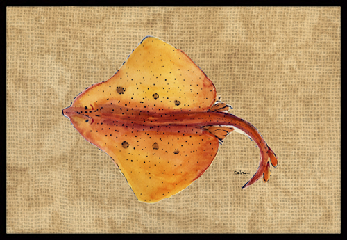24 x 36 In. Blonde Ray Stingray Indoor or Outdoor Mat