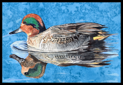 24 x 36 In. Teal Duck Indoor or Outdoor Mat