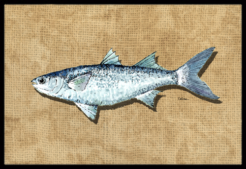 Mullet Indoor or Outdoor Mat