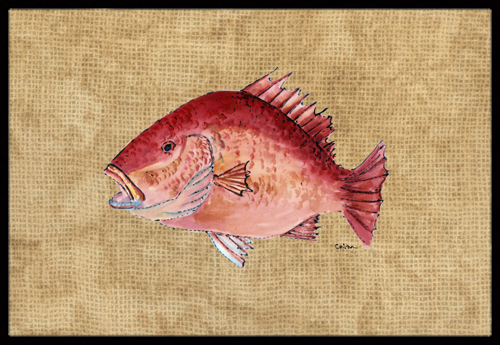 18 x 27 In. Strawberry Snapper Indoor or Outdoor Mat