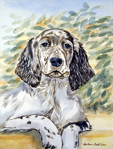 English Setter Flag - Garden Size