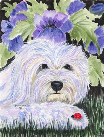 Cotton De Tulear Flag - Garden Size