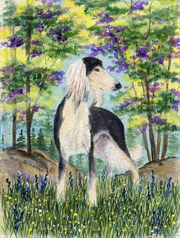 Saluki Flag Canvas - House Size