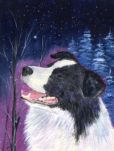 Picture of Carolines Treasures SS8369CHF Starry Night Border Collie Flag Canvas - House Size