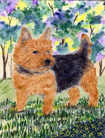 Norwich Terrier Flag - Garden Size